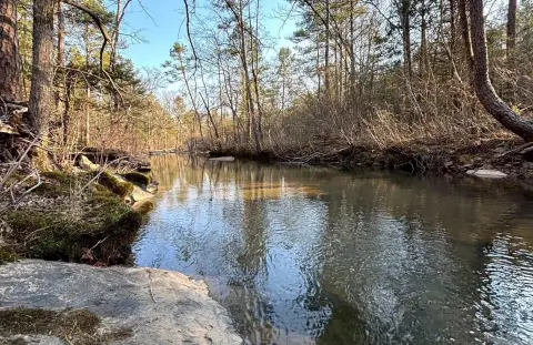 Secluded Wooded Acreage with Creek