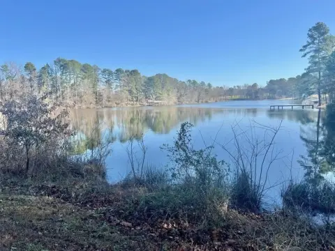 Mount Pleasant Ranch Property