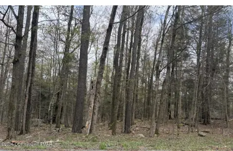 Paupackan Lake Estates Land Parcel