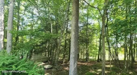 Residential Land in East Stroudsburg