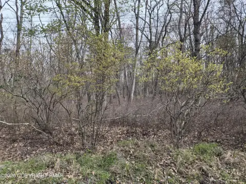 Residential Building Lot