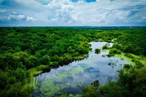 Hunting Land with Connected Water