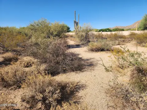 Residential Land Lot in R1-43