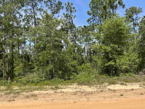 Wooded Lot in Compass Lake