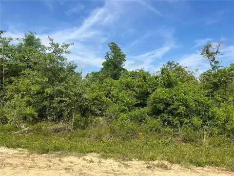 Wooded Lot Near Compass Lake