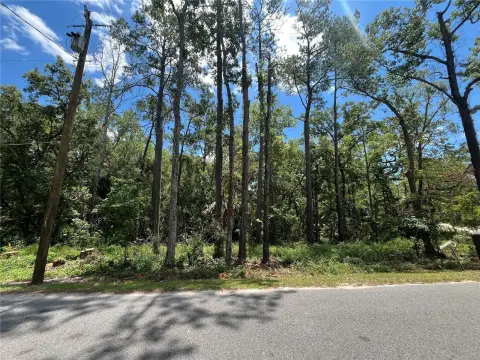 Crawfordville Land Multi-Lot Opportunity