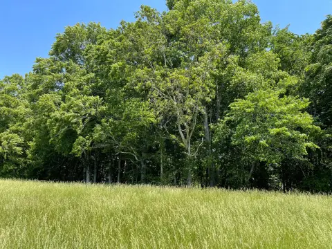 Lakefront Lot in The Cliffs
