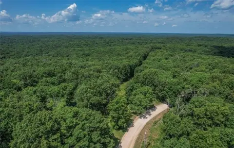 Heavily Treed Land Parcel