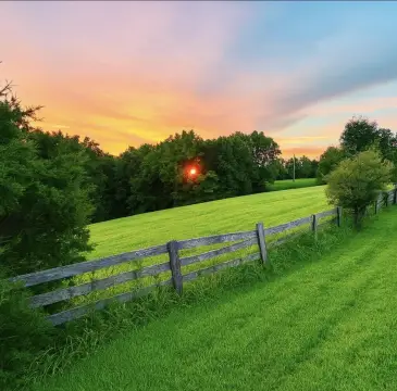 Kentucky Land with Building Sites