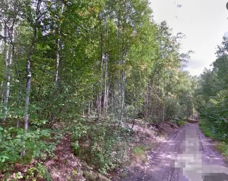 Fairbanks Land with View Potential