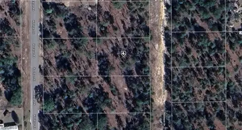 Keystone Heights Vacant Land