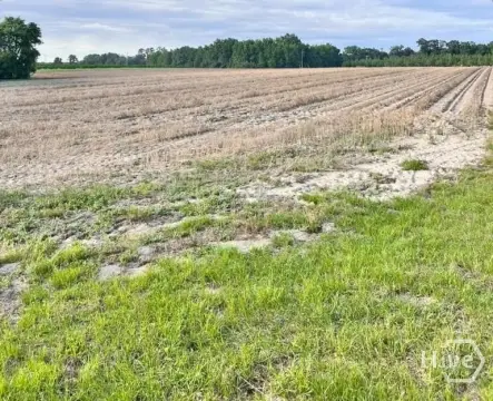 Flat Agricultural Land