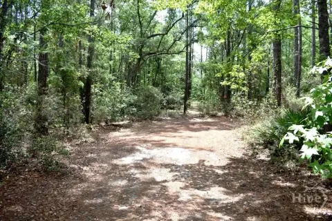 Private Lot in Ellabell, GA