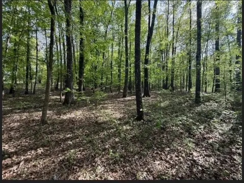 5.29 Acres in Fayette County