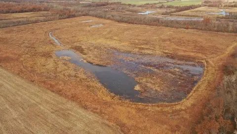 Hunting Land with Wetland and Creek Frontage