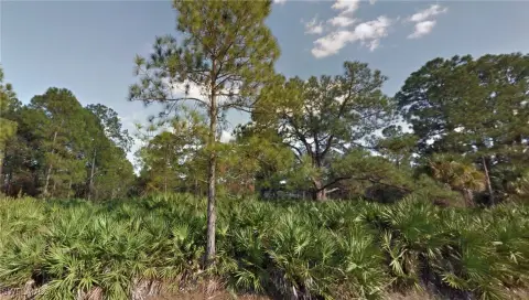 Lehigh Acres Homesite Opportunity