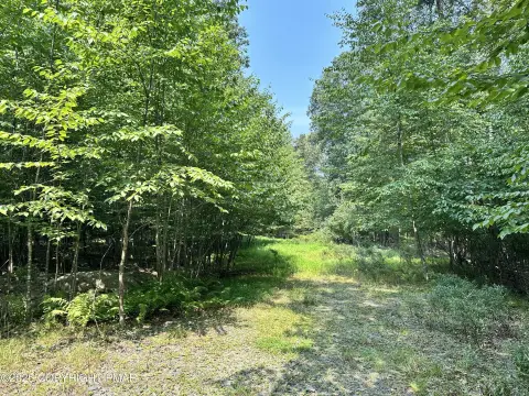 Serene Timber Hill Acreage