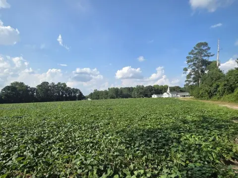 Cleared Agricultural Land