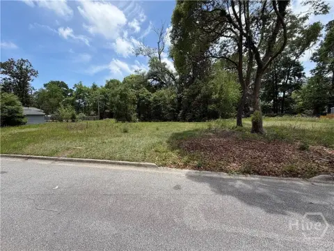 Savannah Vacant Residential Lot