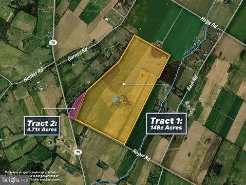 Level Homesite with Road Frontage