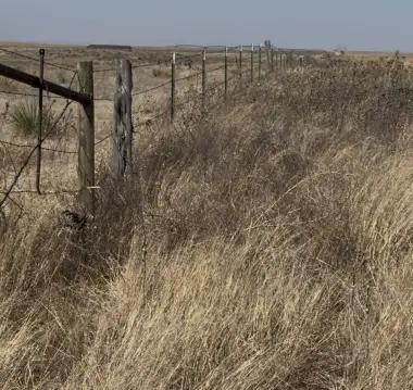 CRP-Income Hunting Acreage