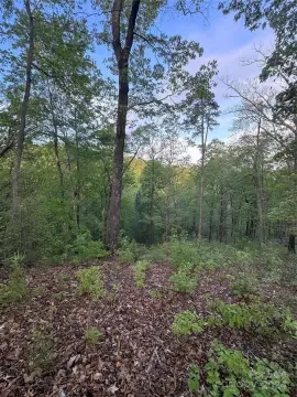 Lake Lure Land For Sale
