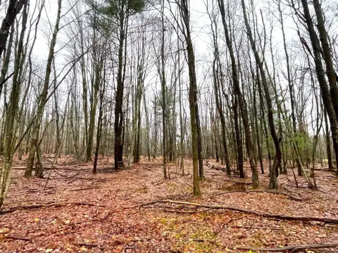 Land for Hunting and Camping