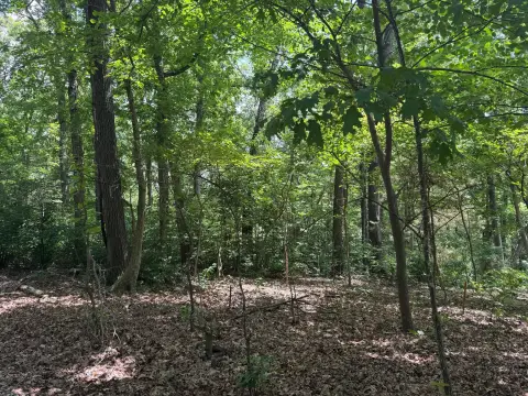 Residential Lot Near Roaring River