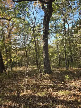 167 Acres of Land, Ava