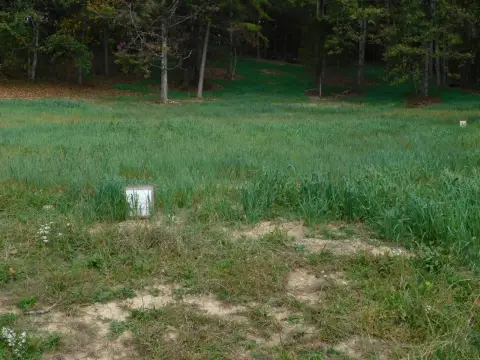 Commercial-Residential Land With Road Frontage
