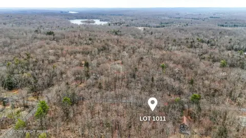 Pocono Lake Wooded Lot
