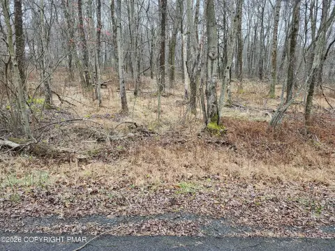 7.78 Acre Wooded Land Parcel