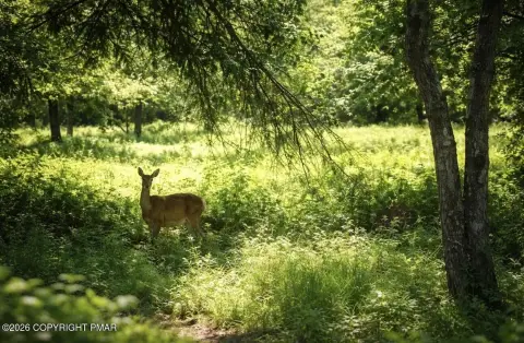 Level Lot in Gated Community