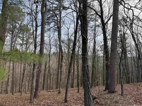 Wooded Lot in Chenal Downs