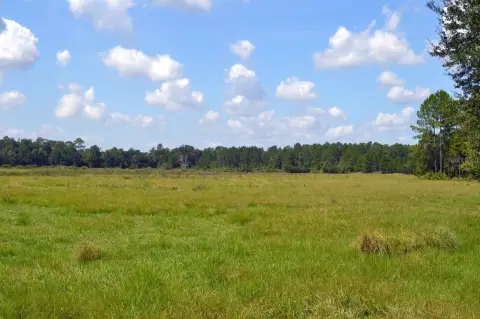 1.72 Acre Parcel in High Springs