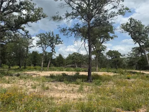Wooded Land in Beaver Creek