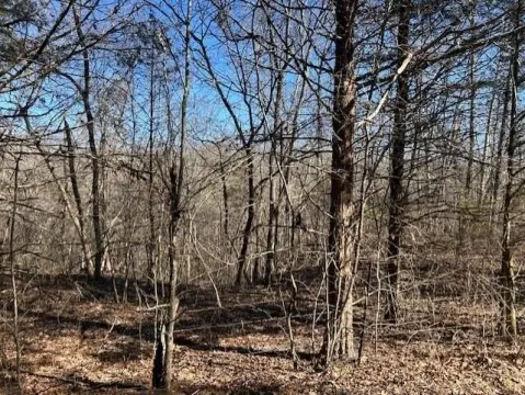 Ava, MO Hunting Land