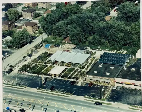 Prime Commercial Lot on Cicero