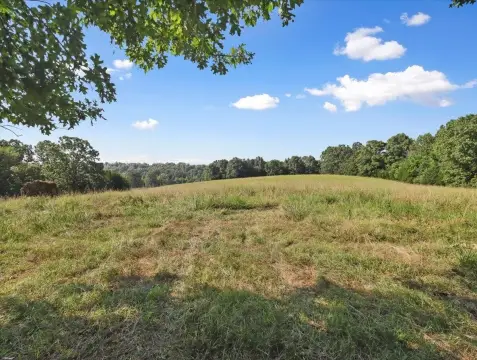 Caulfield, MO 47-Acre Land