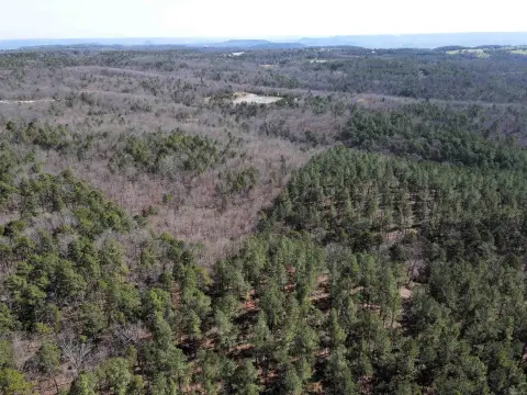 Timbered Hunting Land