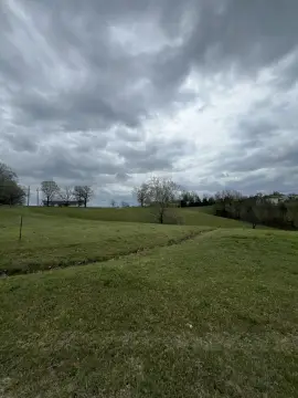 Land in Reeds Spring, MO