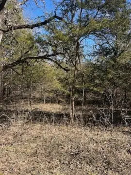 Ava, MO Wooded Land