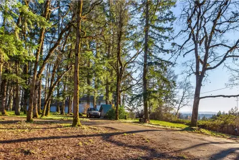 Wine Country Estate Opportunity