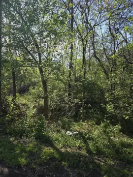 Residential Lot in Roanoke, VA