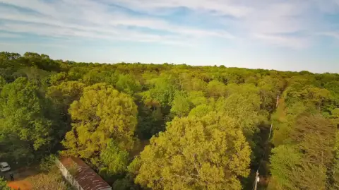 Moneta, VA Land Parcel