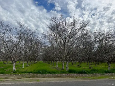 Producing Walnut Orchard Land