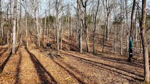 29 Acres Prime Hunting Land