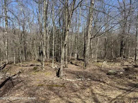 Wooded Lot in Gated Community