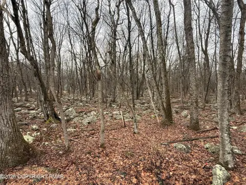 Albrightsville Land in Towamensing Trails