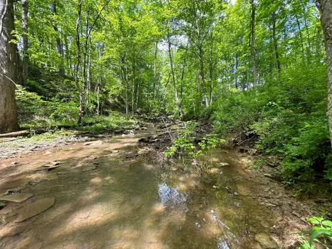 Scenic 10-Acre Pike County Land